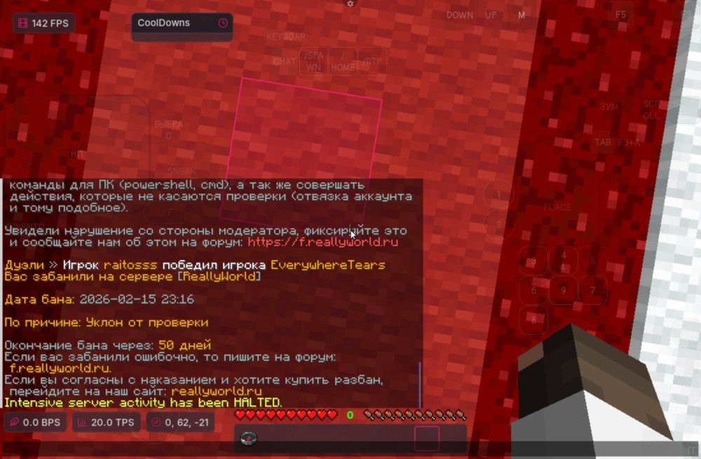Screenshot_20260215_231653_git.artdeell.mojo.jpg