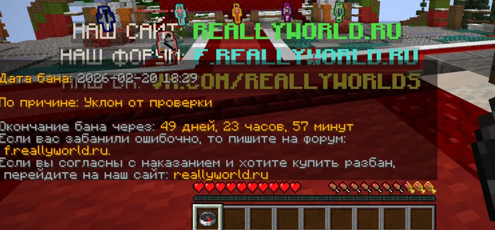 Screenshot_20260220_193126.png