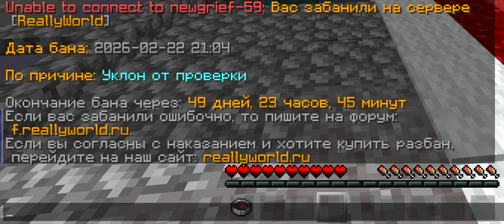 изображение_2026-02-22_233308489.png