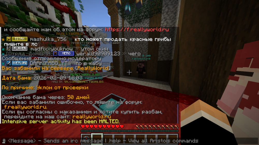 capture_260209_200355.png
