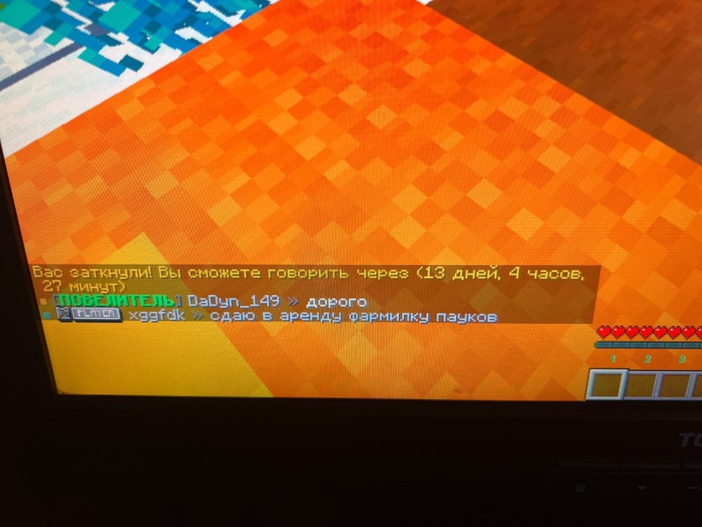 image.jpg