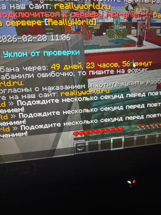 image.jpg