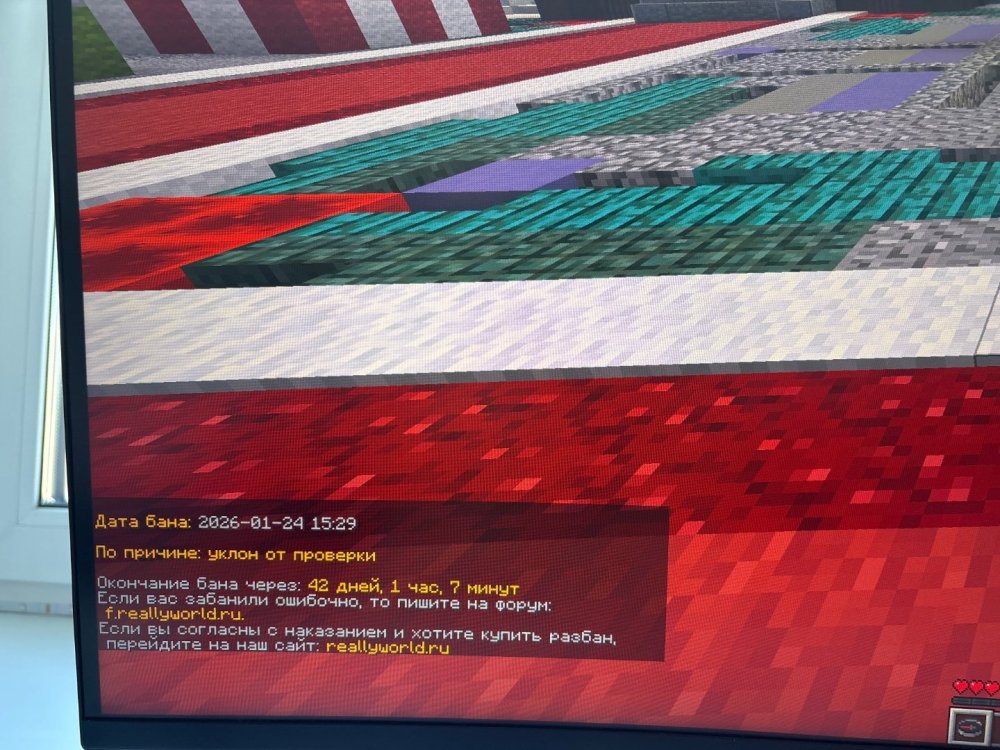 image.jpg