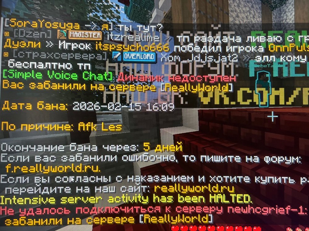 image.thumb.jpg.c9b0c54a4476da366f6a3144a04f9f7e.jpg