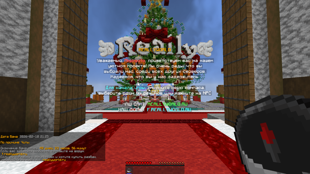image.thumb.png.2f55482734aa24e2aa7a466ca388be94.png