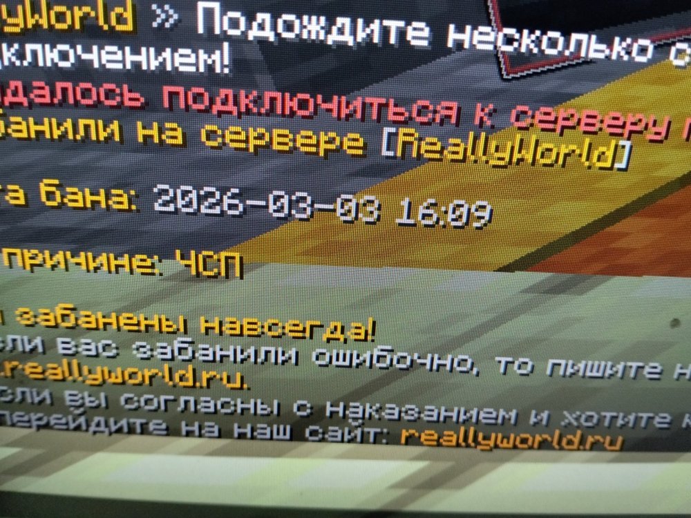 1773241112769.jpg