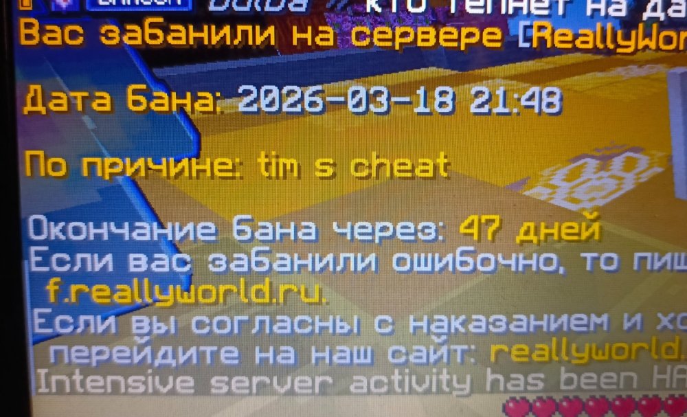 1773859779680.thumb.jpg.851de208a7a37a1a90885e07d7befd1a.jpg