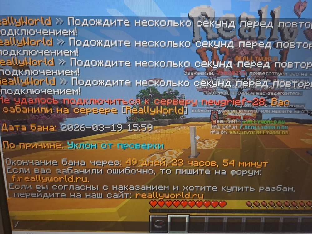 17739258014229005658102389286689.jpg