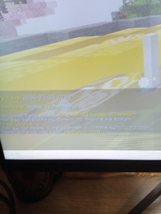 1774190329391214885023670661331.jpg