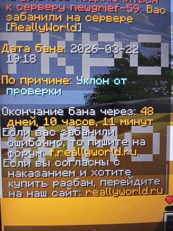 1774332441408715515420933639574.jpg