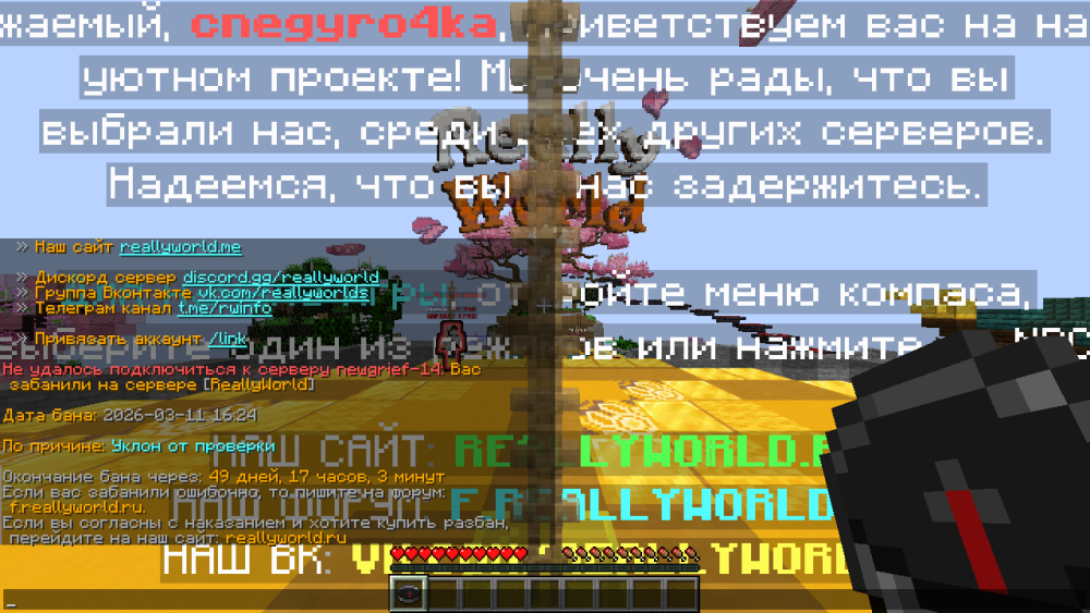 2026-03-11_23_19_51.thumb.png.563c90848d23326ad69887168b4404ac.png