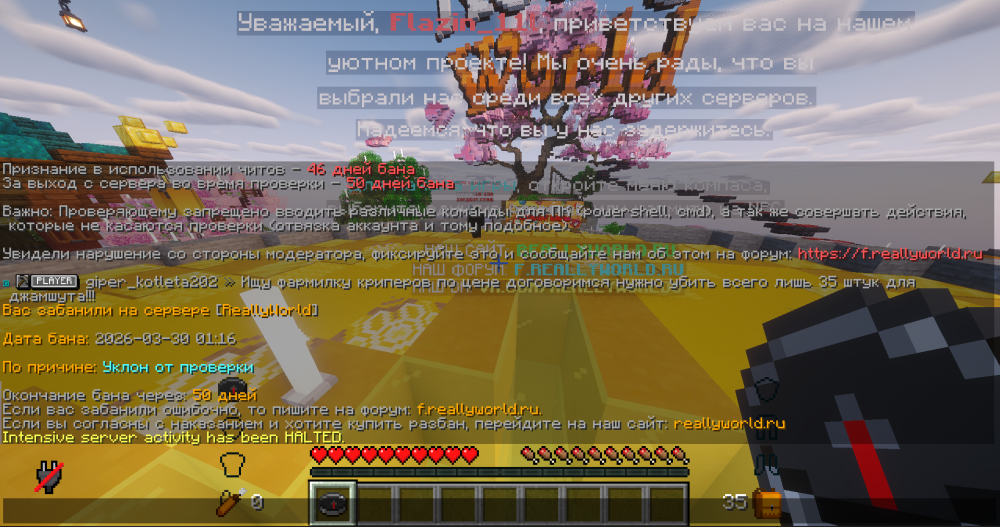 2026-03-30031812.thumb.png.92d3b412a278e4cb031b5ecefd063633.png