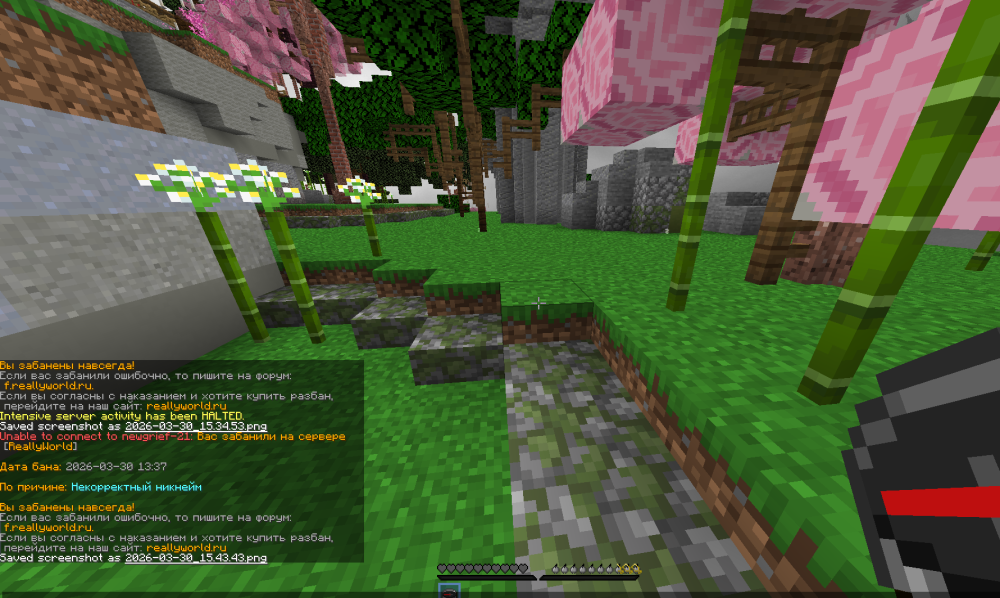 2026-03-30_15_45_50.thumb.png.6fe7a6f9b6881e3f9550a9cc56a0a426.png