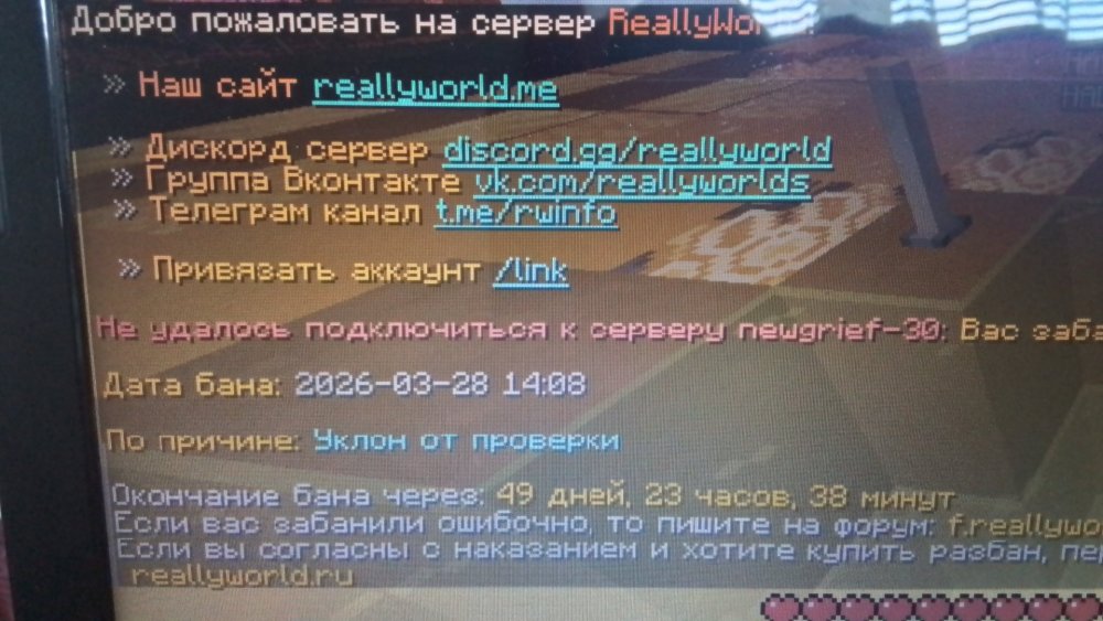 20260328_173157.jpg