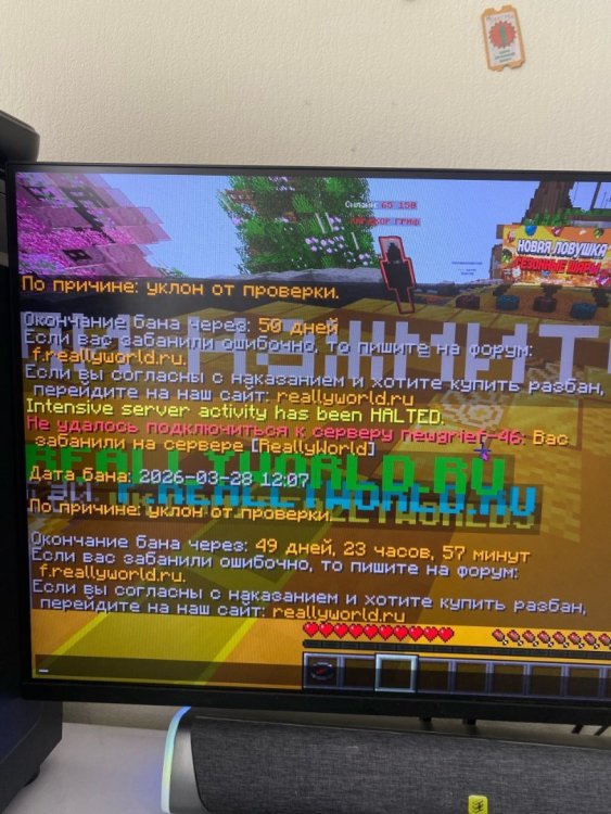 6Qwaw4dLeRu2_yPExpM5WWdEMcmVhffIdY1W_NEYQ-SXt6CTLzzFH0FRjxT2tGtoF2Z-U9gcLeR7rUBcGVyS0lIf.jpg