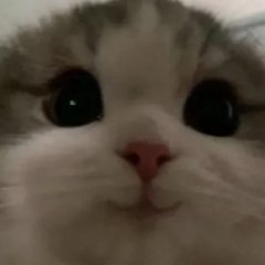 MrSkitchYT