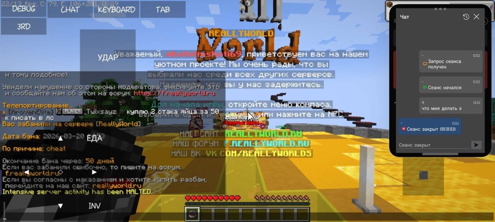 Screenshot_2026-03-20-13-53-55-103_net.kdt.pojavlaunch.debug.jpg