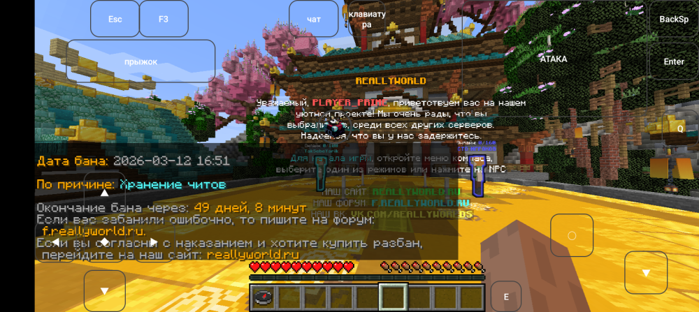 Screenshot_20260313-174317.thumb.png.5d777da2c954c1a22c025eee35628093.png