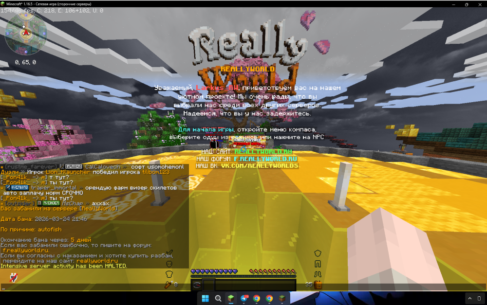 capture_260324_235129.png