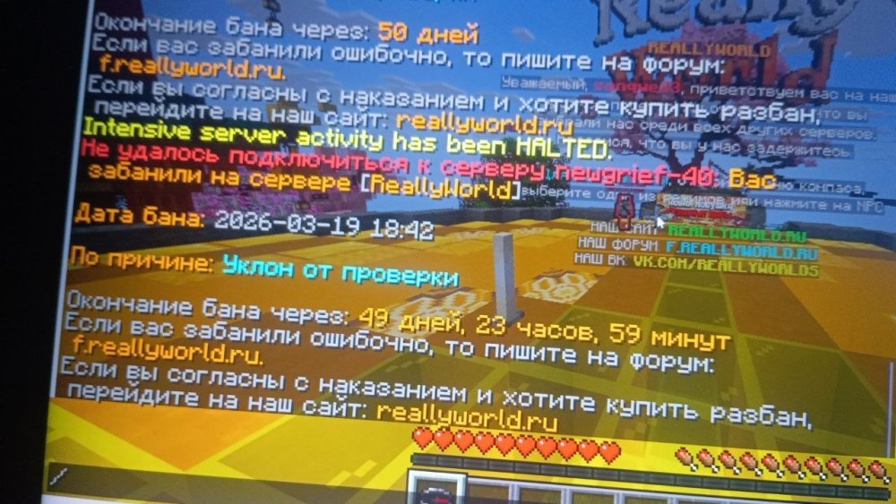 image.thumb.jpeg.6befad5983b18bcda771e482d6e04bfc.jpeg