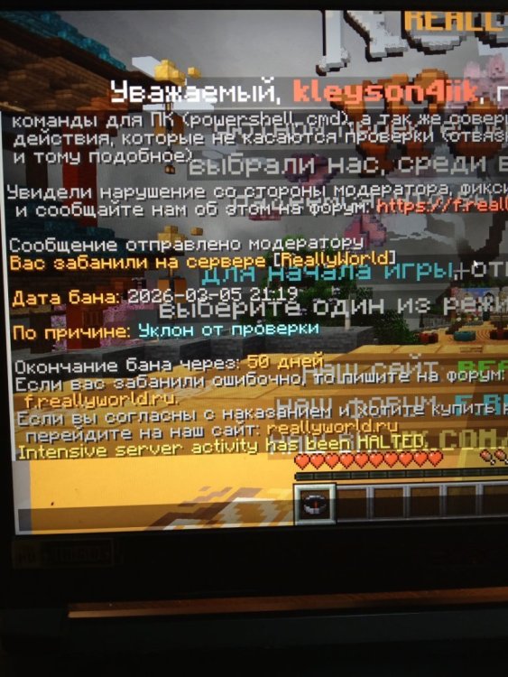 image.thumb.jpeg.83622f92835a467138574fc1db9bd699.jpeg