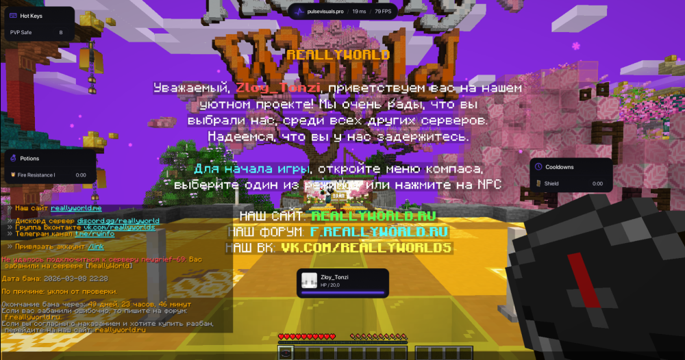 image.thumb.png.27cad52cf9258d88484d8b35d41e1aed.png
