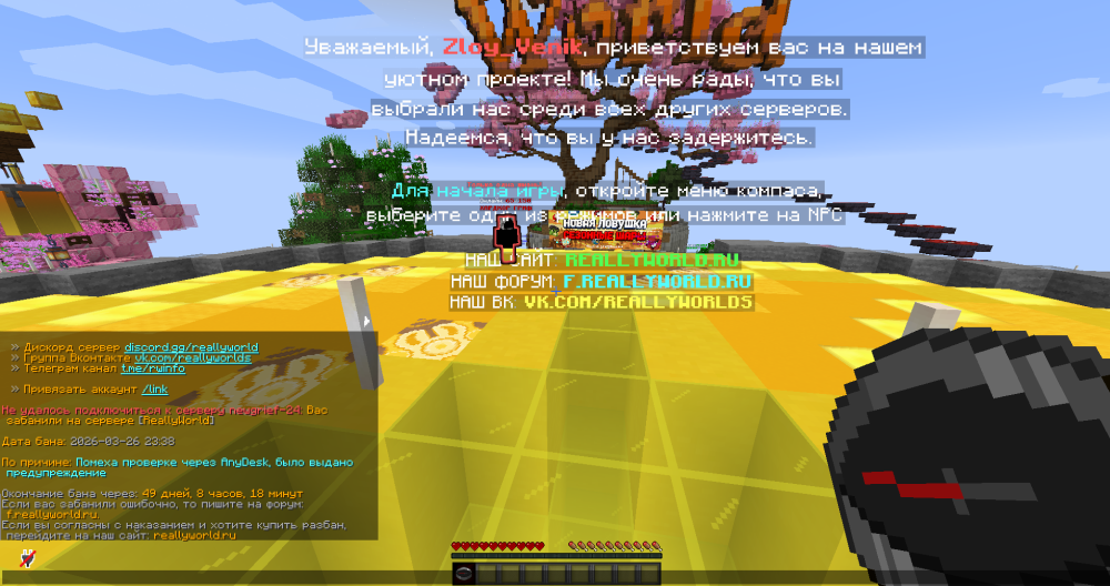 image.thumb.png.350f57cb0e7a37538e4a89fd0bde5f80.png