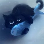kiticat