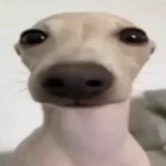 MrShalawa