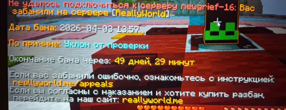 20260404_132759.jpg