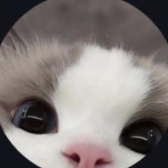 PlatonKorob12345