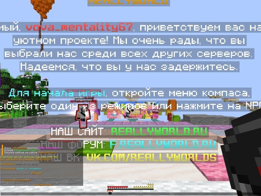 IMG_1857.jpeg