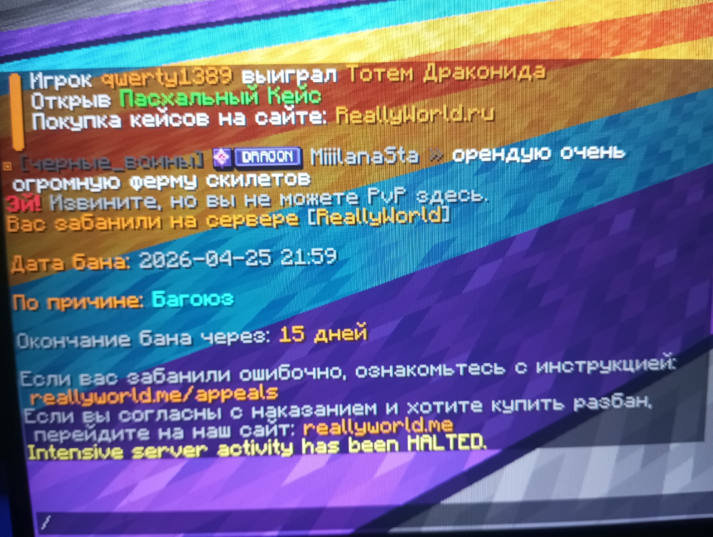изображение_2026-04-26_023805704.png