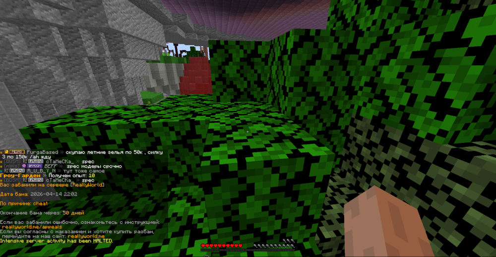 image.thumb.png.1fea0c597694e86e2b3aaa5bfa23e398.png