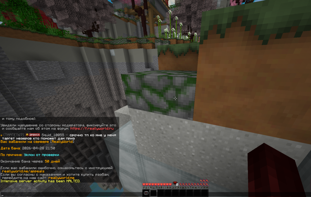 image.thumb.png.48724a59ae1d6dfbb04bb6be3d2e7386.png