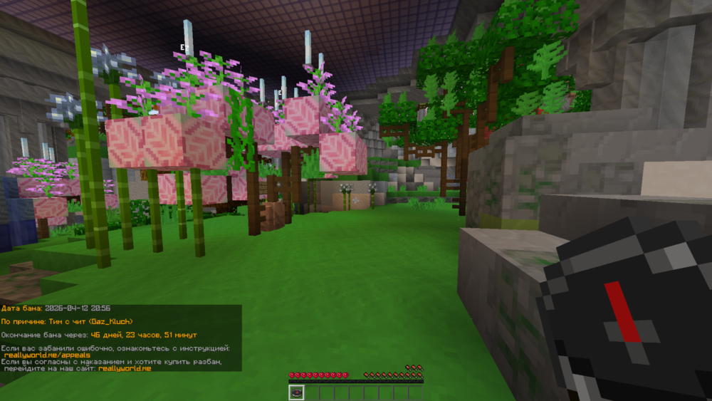image.thumb.png.99a66d6ffee34306f9cf23d8f9f9bdbc.png