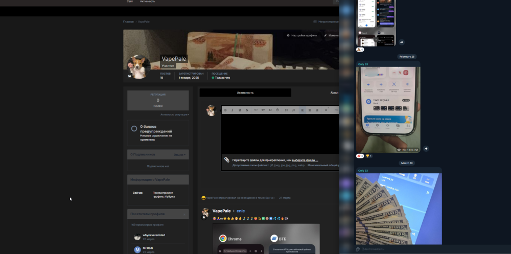 image.thumb.png.b1a53dce6d40de705982b8d0b03526f1.png