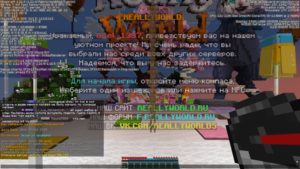 image.thumb.png.cb1e71ec4b865aa77f743db0942cb28c.png