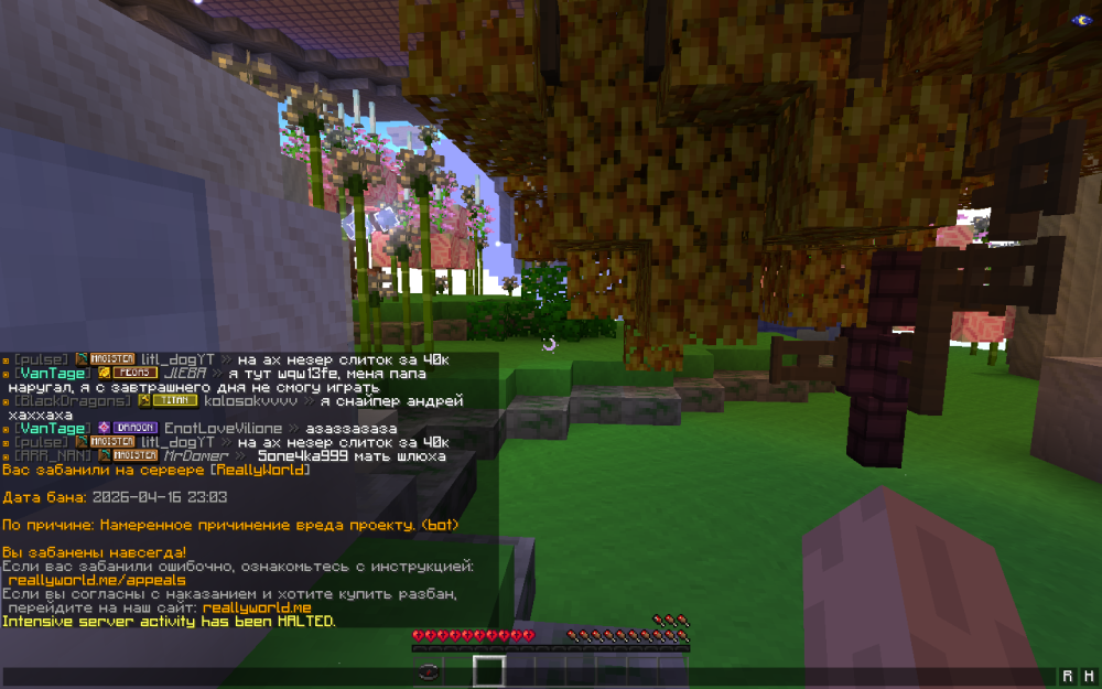 image.thumb.png.f45eb9f2ae44a06e3e4f1acabf952978.png