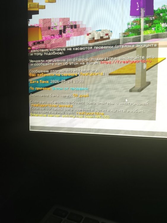 17796520345286842791855494447547.thumb.jpg.32e51ca93bb1a94b6ac1572cd18bb2d5.jpg