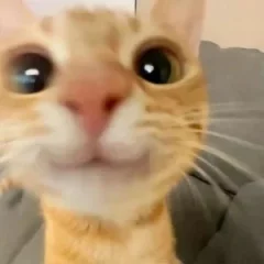 JA_BITCOIN