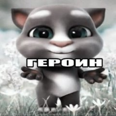 mailyhoman