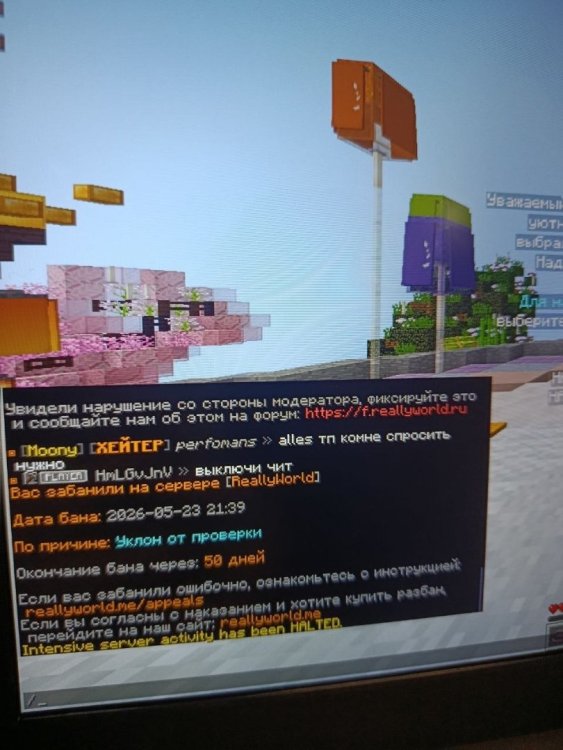 IMG_0799.jpeg