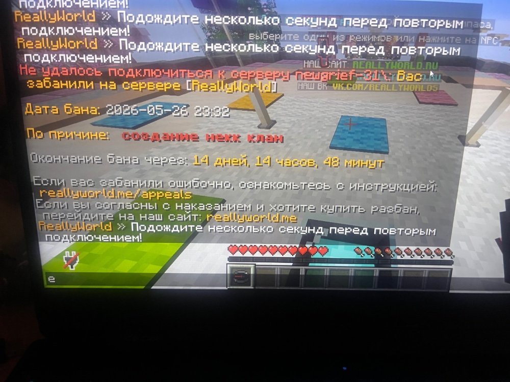 IMG_5518.jpeg