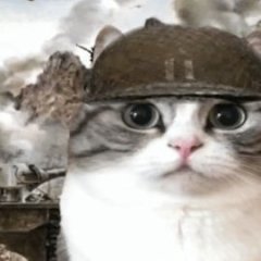 MR_danilka228