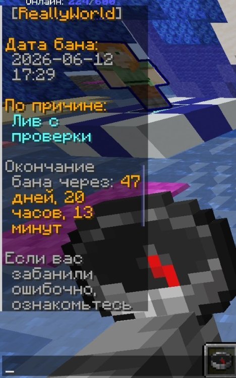 1781463407029.jpg