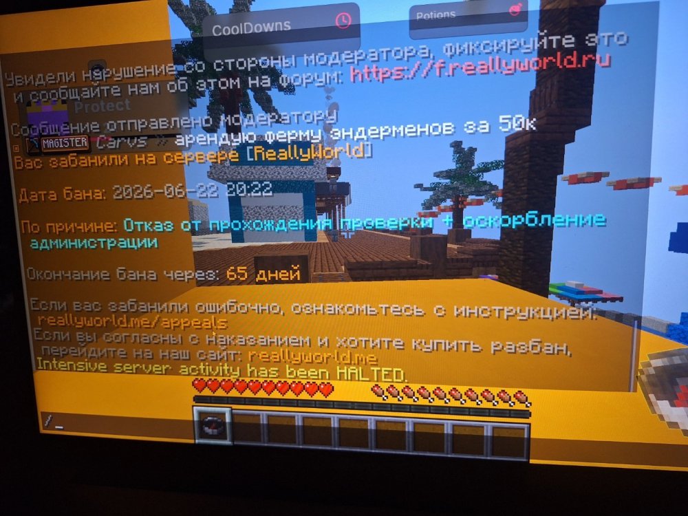 17821494149965656331337412568053.jpg
