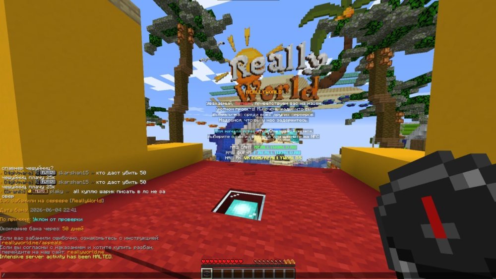 2.thumb.jpg.ae40a506cd8d830eb6b47a1c16bcaedd.jpg
