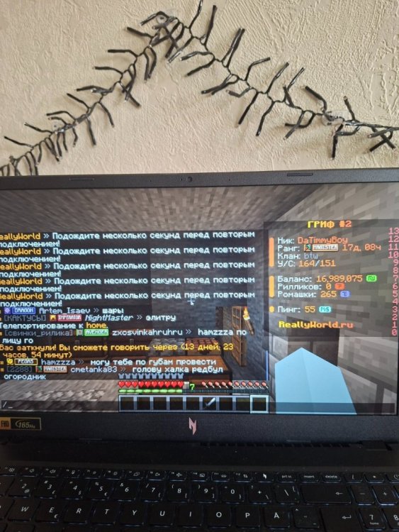 20260609_172334.thumb.jpg.034a9df92c01e28004ab8efaba702bad.jpg