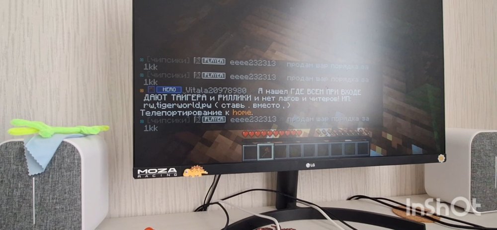 IMG1.jpg